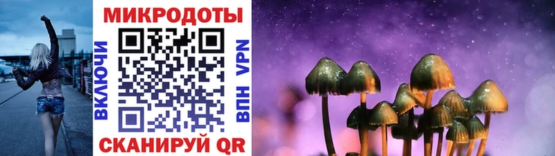 Галлюциногенные грибы Psilocybine cubensis Тайга
